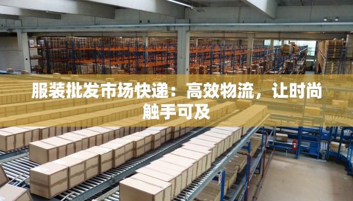 坂田快递物流：高效连接世界的物流先锋