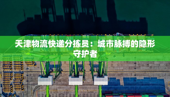 天津物流快递分拣员：城市脉搏的隐形守护者