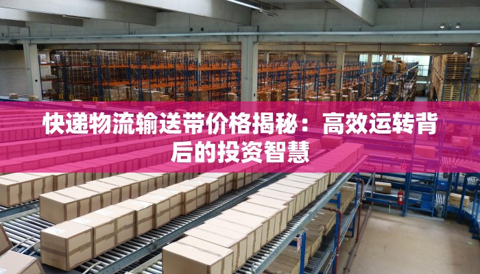 快递物流输送带价格揭秘：高效运转背后的投资智慧