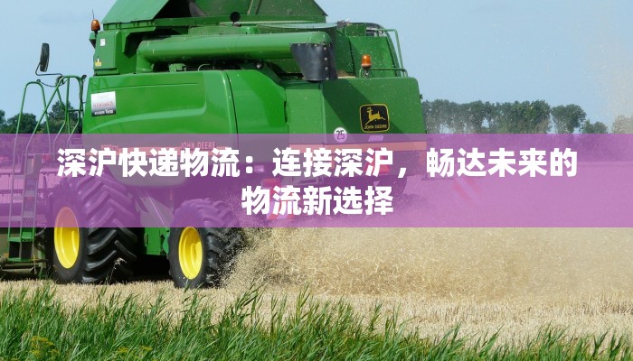 深沪快递物流：连接深沪，畅达未来的物流新选择