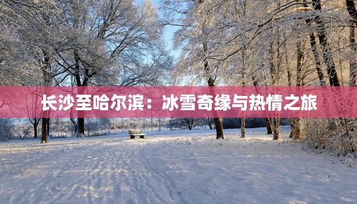 长沙至哈尔滨:冰雪奇缘与热情之旅