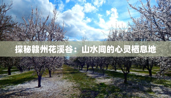 探秘赣州花溪谷:山水间的心灵栖息地