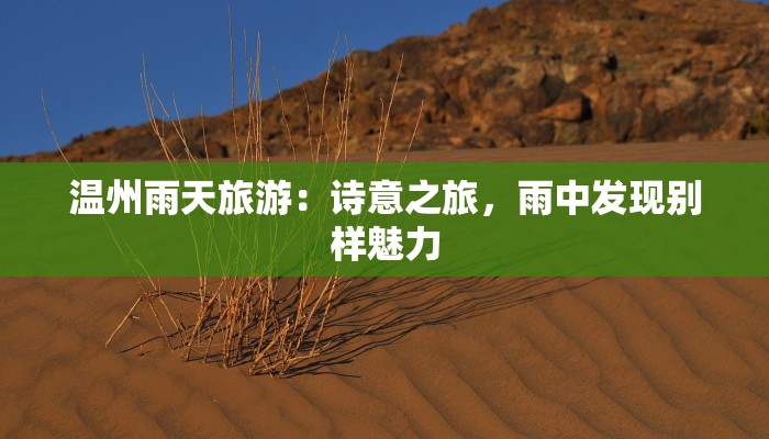 温州雨天旅游：诗意之旅，雨中发现别样魅力
