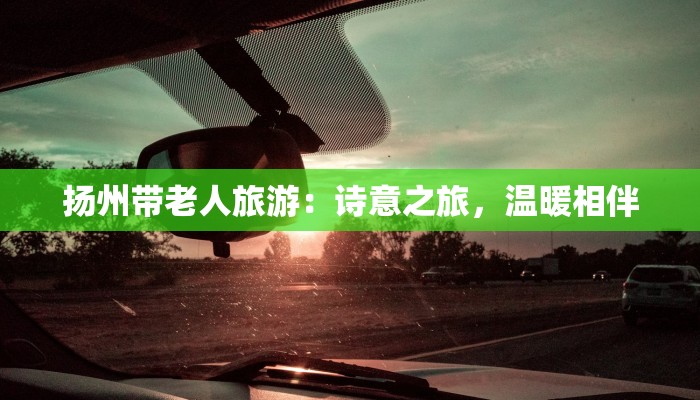 扬州带老人旅游:诗意之旅,温暖相伴
