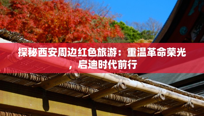 介绍西安的作文