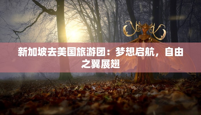 新加坡去美国旅游团：梦想启航，自由之翼展翅