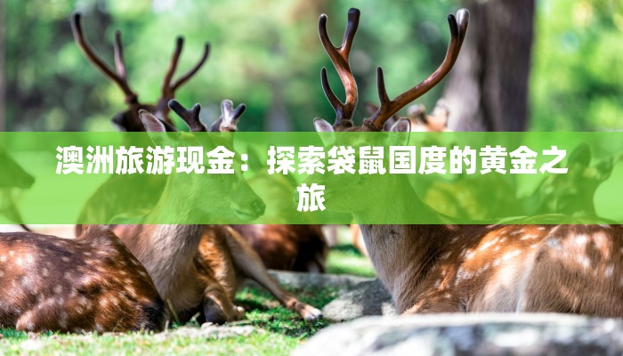 澳洲旅游现金：探索袋鼠国度的黄金之旅