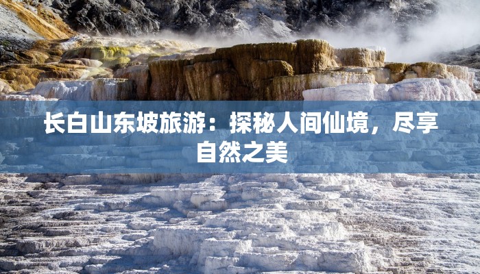 长白山东坡旅游：探秘人间仙境，尽享自然之美