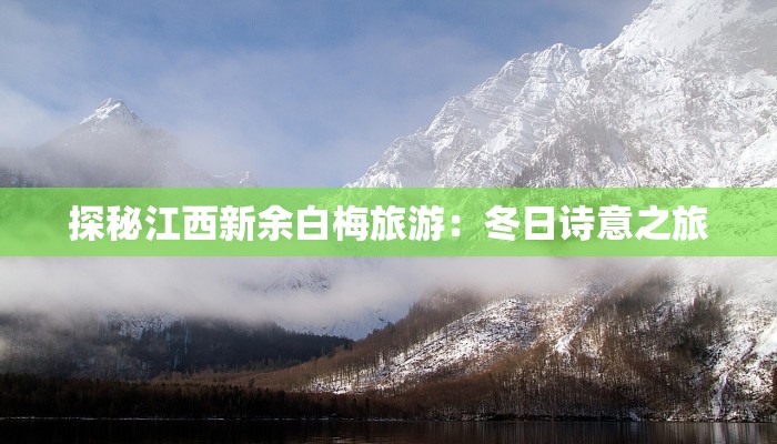 探秘江西新余白梅旅游:冬日诗意之旅