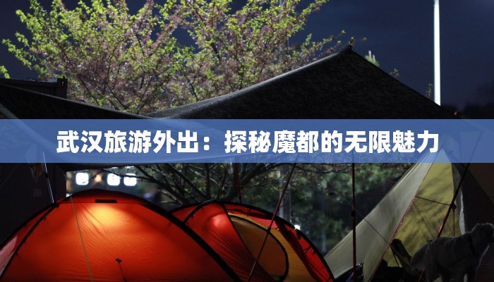 武汉旅游外出：探秘魔都的无限魅力