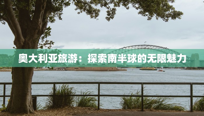 高空溜索作文：勇敢一跃，人生新篇章