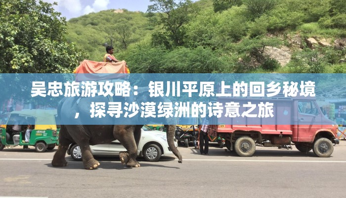 吴忠旅游攻略：银川平原上的回乡秘境，探寻沙漠绿洲的诗意之旅