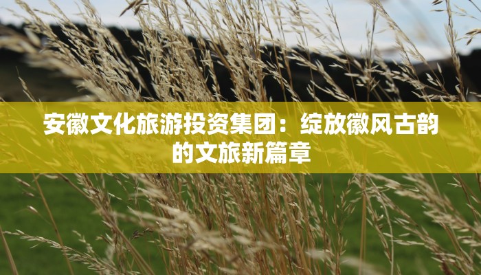 安徽文化旅游投资集团:绽放徽风古韵的文旅新篇章