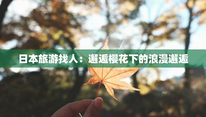 日本旅游找人：邂逅樱花下的浪漫邂逅
