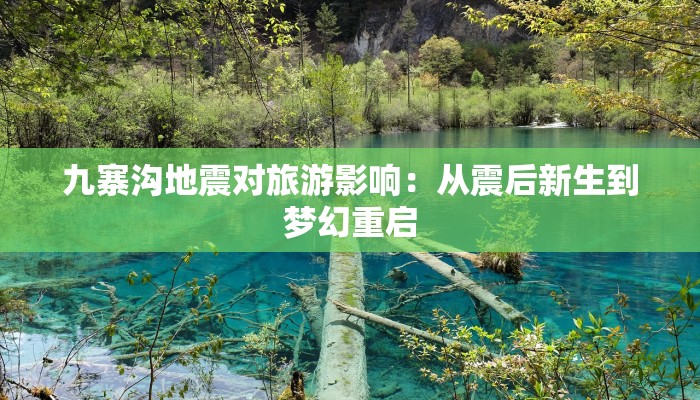 洱源的守护之光：最新疫情动态与健康生活指南