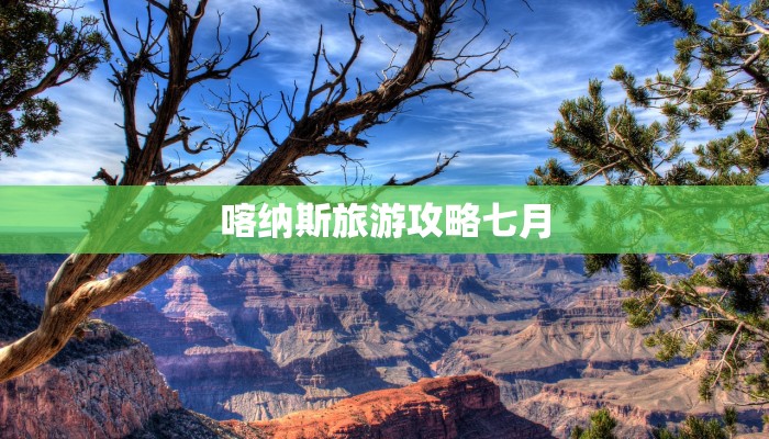 快递未到物流确认收货：揭秘背后的“隐形陷阱”与实用避坑指南