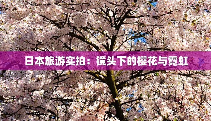 日本旅游实拍:镜头下的樱花与霓虹