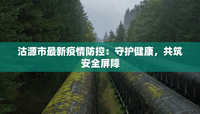 沽源市最新疫情防控：守护健康，共筑安全屏障
