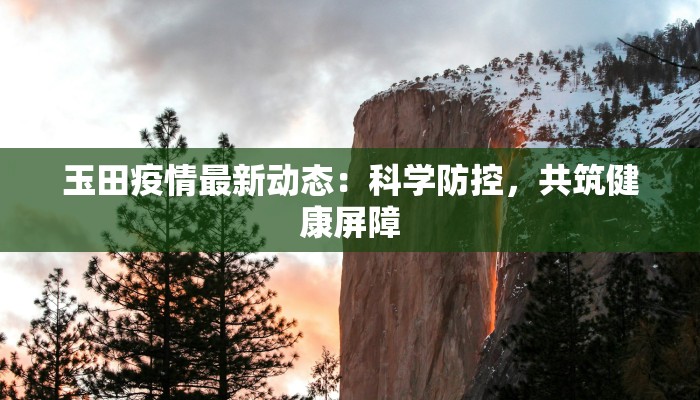 玉田疫情最新动态：科学防控，共筑健康屏障