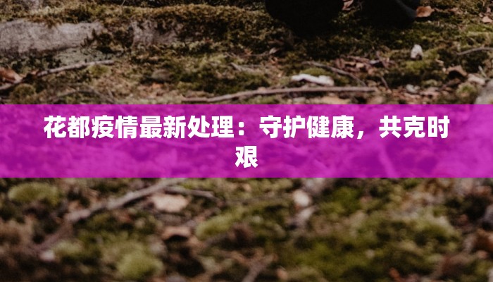 花都疫情最新处理:守护健康,共克时艰