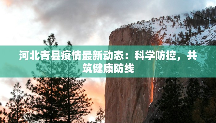 河北青县疫情最新动态：科学防控，共筑健康防线