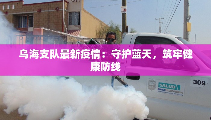 乌海支队最新疫情：守护蓝天，筑牢健康防线