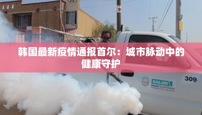 韩国最新疫情通报首尔：城市脉动中的健康守护