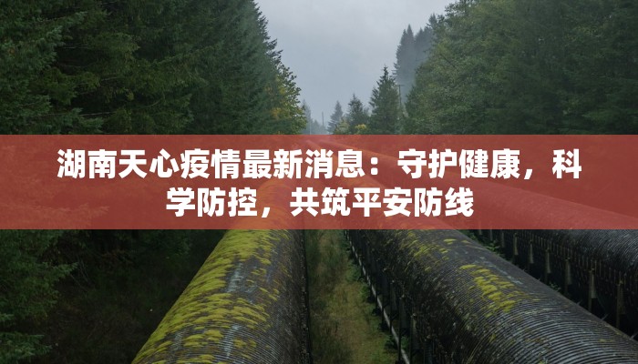 湖南天心疫情最新消息：守护健康，科学防控，共筑平安防线
