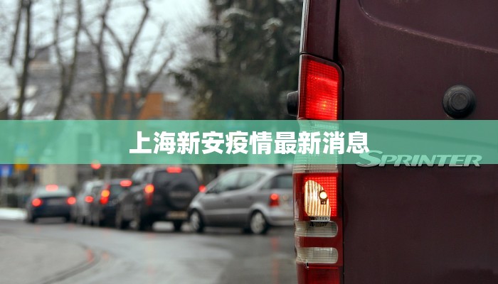 上海新安疫情最新消息