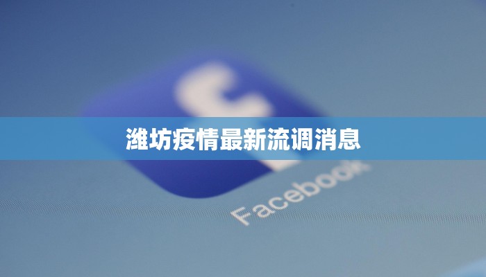 天门大服装厂：时尚与品质的完美交织