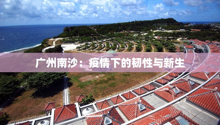 广州南沙：疫情下的韧性与新生