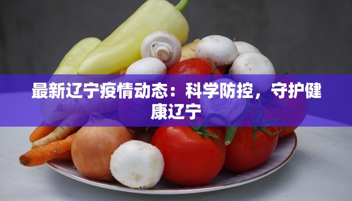 最新辽宁疫情动态：科学防控，守护健康辽宁