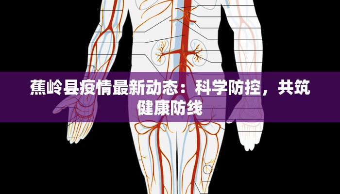 蕉岭县疫情最新动态：科学防控，共筑健康防线