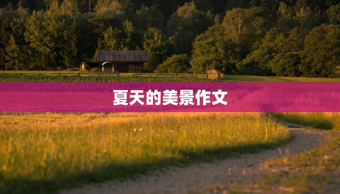 夏天的美景作文