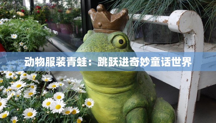 动物服装青蛙:跳跃进奇妙童话世界