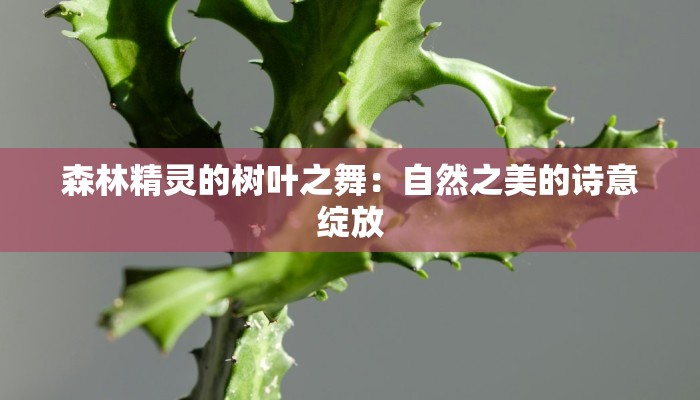 服装店的促销活动方案