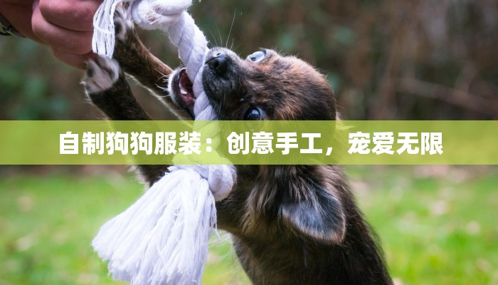 凤岗甘埔疫情最新情况