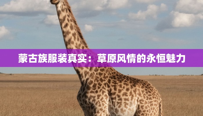 蒙古族服装真实:草原风情的永恒魅力