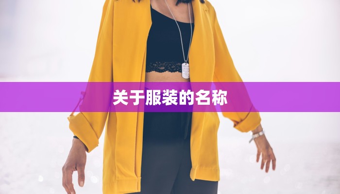 关于服装的名称