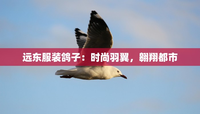 远东服装鸽子：时尚羽翼，翱翔都市