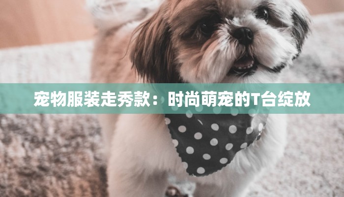 宠物服装走秀款:时尚萌宠的T台绽放