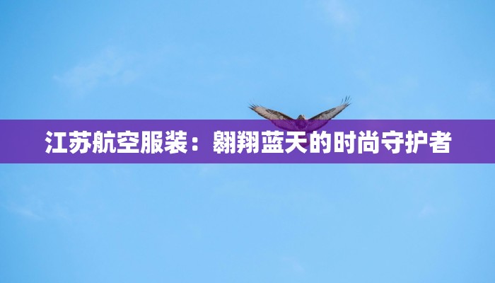 江苏航空服装：翱翔蓝天的时尚守护者
