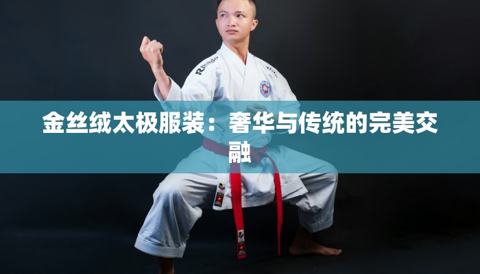 金丝绒太极服装:奢华与传统的完美交融