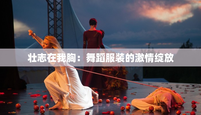 壮志在我胸:舞蹈服装的激情绽放