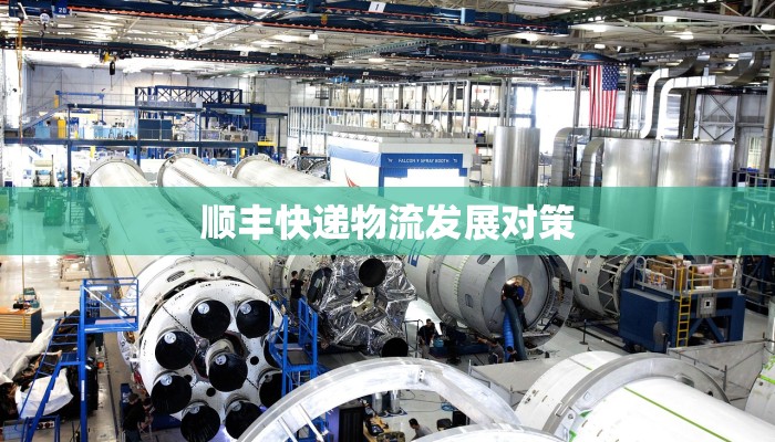 顺丰快递物流发展对策