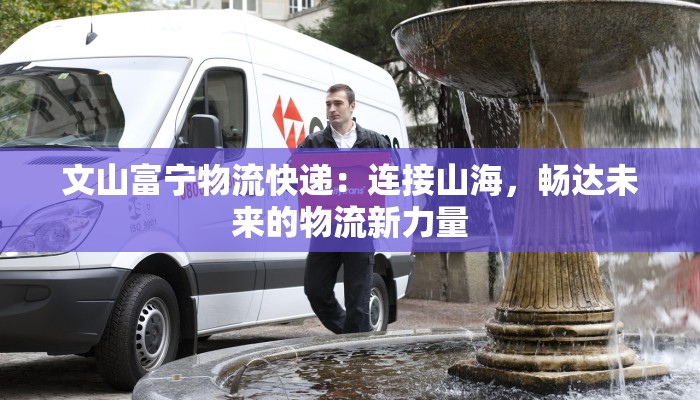 文山富宁物流快递：连接山海，畅达未来的物流新力量