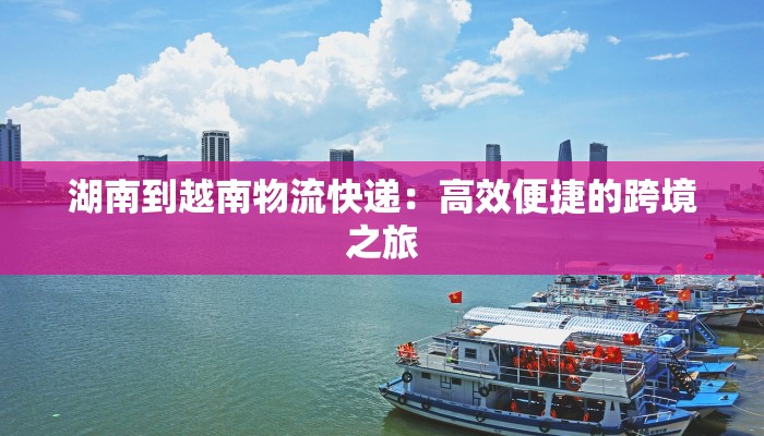 湖南到越南物流快递：高效便捷的跨境之旅