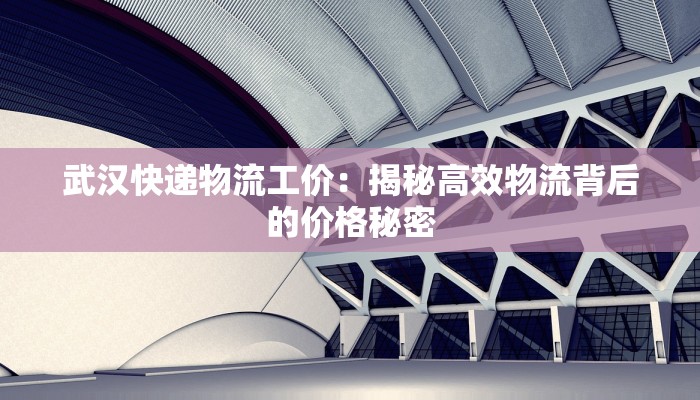 武汉快递物流工价:揭秘高效物流背后的价格秘密