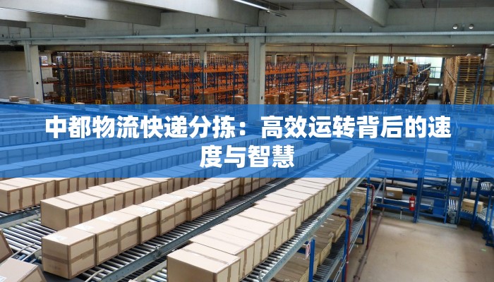 中都物流快递分拣：高效运转背后的速度与智慧