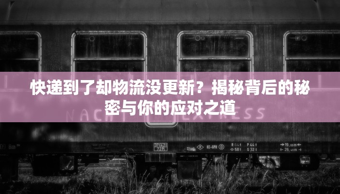 快递到了却物流没更新？揭秘背后的秘密与你的应对之道